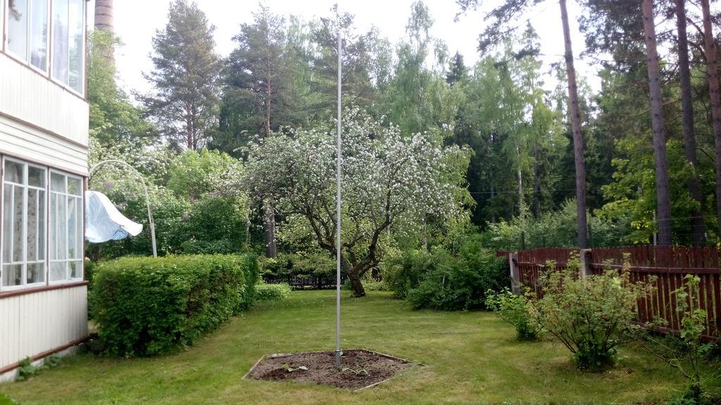 Koidula Holiday Home Narva-Jõesuu Esterno foto
